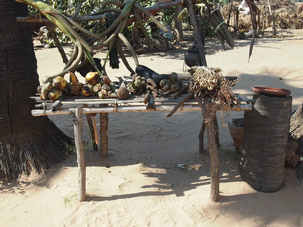 Village palm sugar making stand with tapping containers under the palms